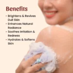 Neel Ayurvedics Rose Soap