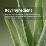 Neel Ayurvedics Aloevera Gel