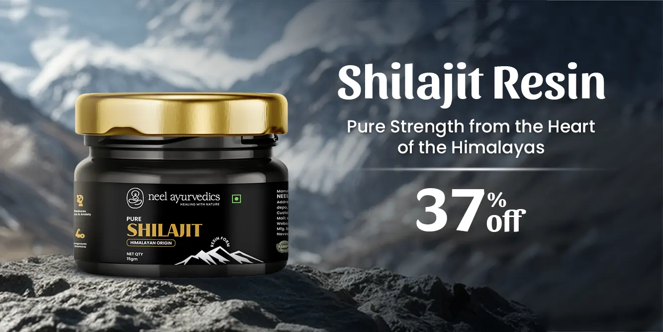 Neel Ayurvedics Shilajit Resin