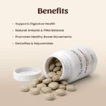 Neel Ayurvedics Avipattikar Tablet