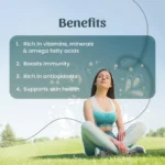 Neel Ayurvedics Sea Buckthorn Powder