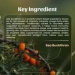 Neel Ayurvedics Sea Buckthorn Powder