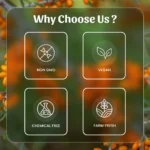 Neel Ayurvedics Sea Buckthorn Powder